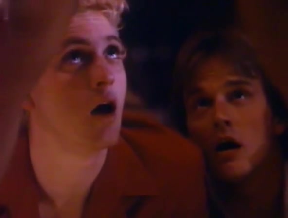 Jenny Wright,Ashley St. Jon,Kitten Natividad,Tracy Hutchinson in The Wild Life (1984)